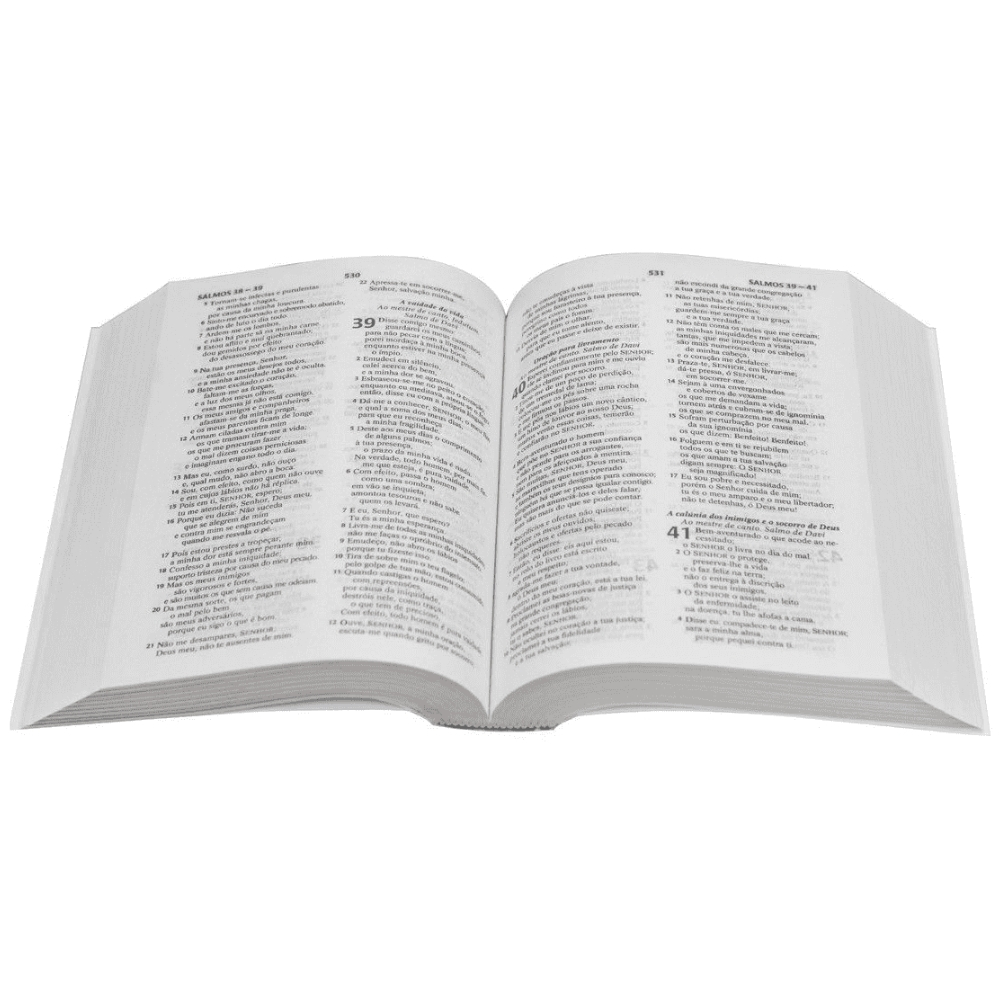 Bíblia Sagrada Edição Compacta