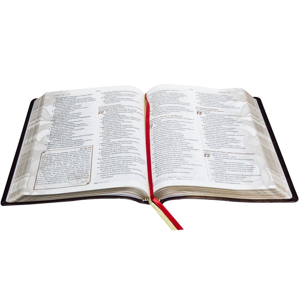 Bíblia Sagrada Com Reflexões de Lutero