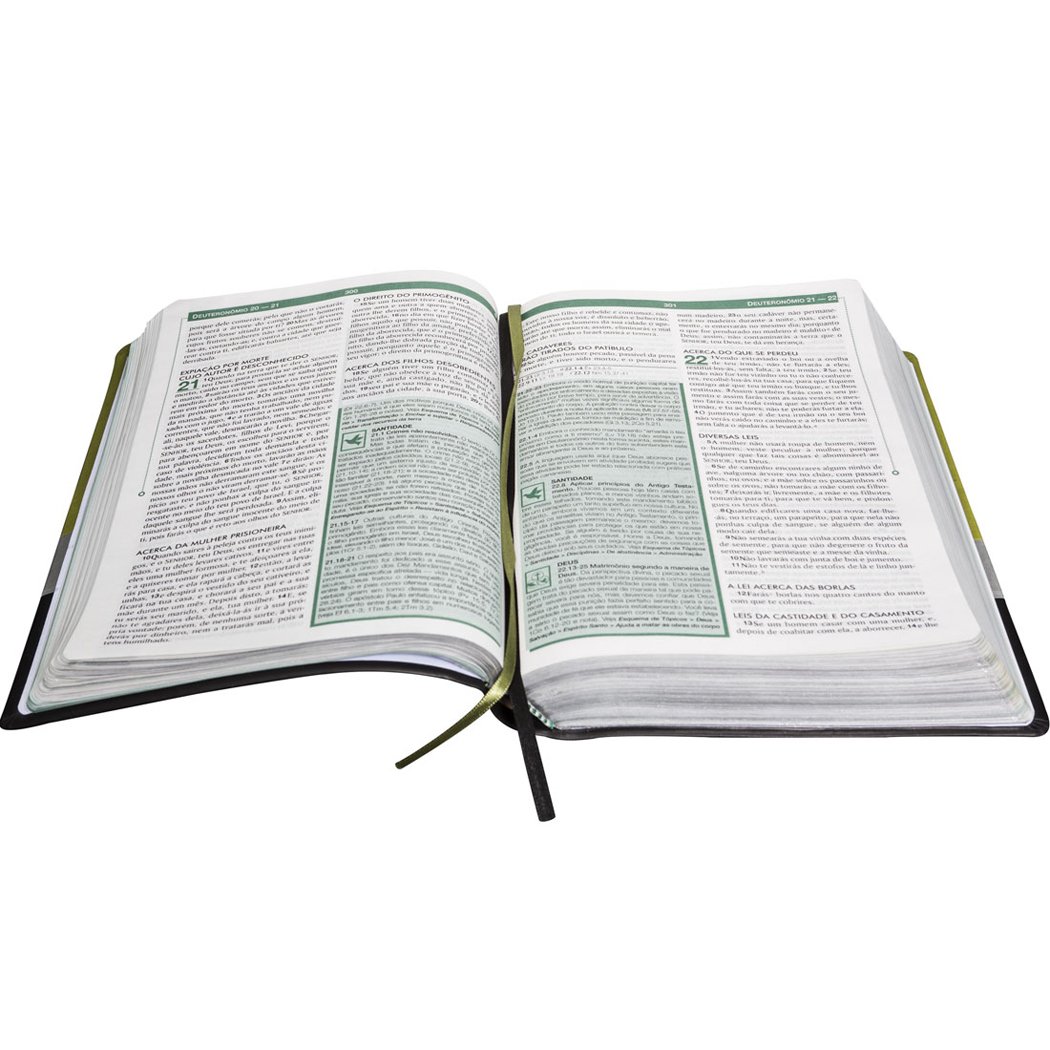 Bíblia de Estudos Esquematizada - Capa Verde e Preta