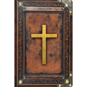 Bíblia Sagrada Vintage Marrom – NVI