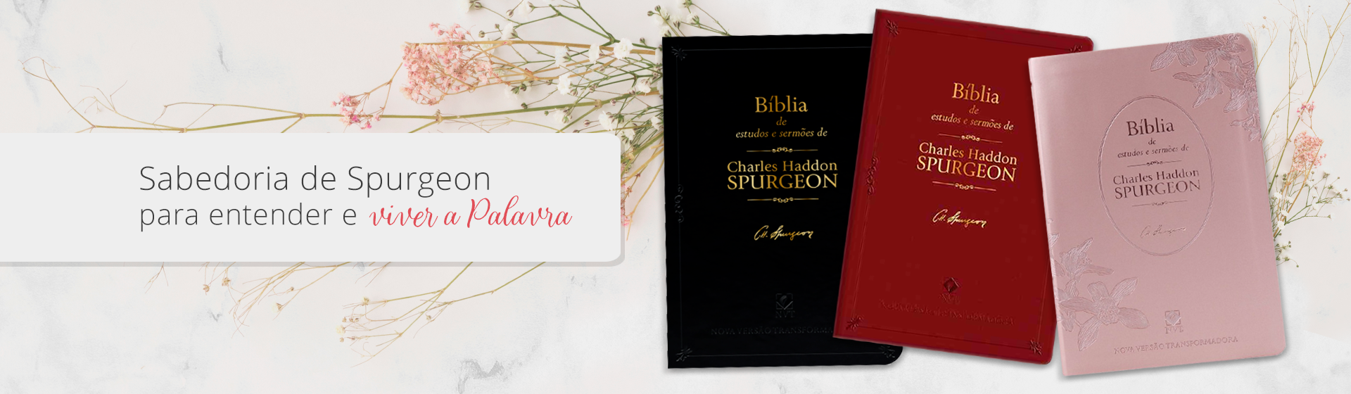 Bíblia Spurgeon