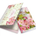 Nuestro Pan Diario Caja - Mi Cantico