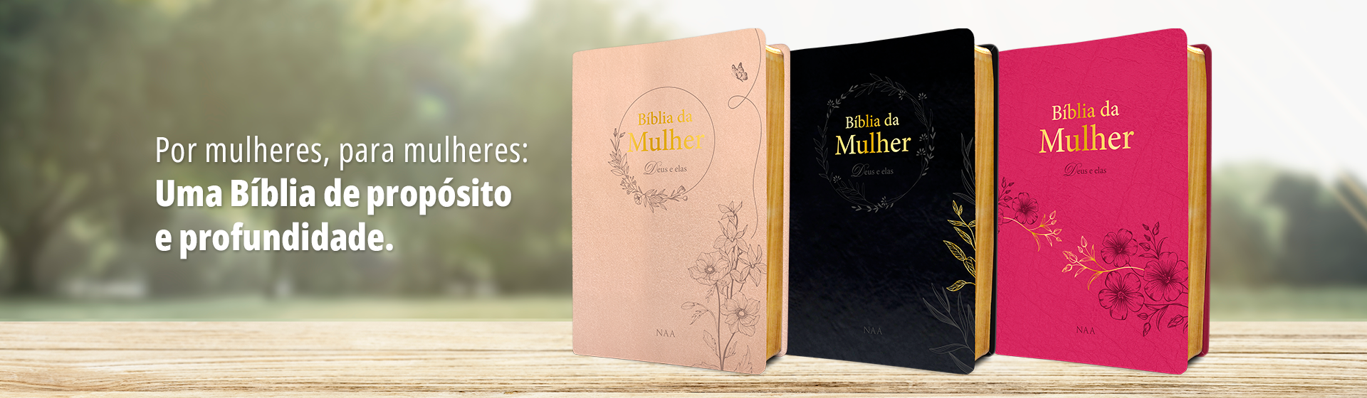 Deus e elas - Banners Site - 1920x560 pixels