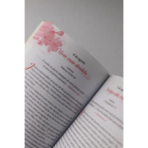 Devocional Pão Diário mulheres - Caixa presente - 365 meditações para mulheres - Image 4