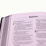 Bíblia Sagrada Leão - Image 4