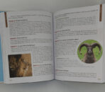 Manual Bíblico de Halley para niños  - ESPANHOL - Image 4